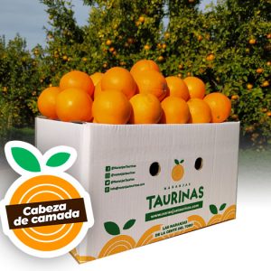 Muestra una caja de naranjas Cabeza de Camada 10 kilos de NaranjasTaurinas.com