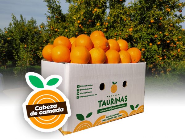 Muestra una caja de naranjas Cabeza de Camada 10 kilos de NaranjasTaurinas.com